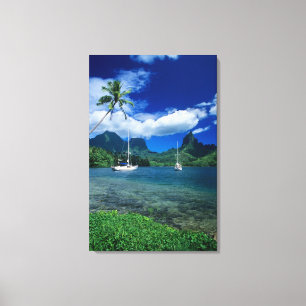 Private yachts anchored in Opunohu Bay on the Canvas Print