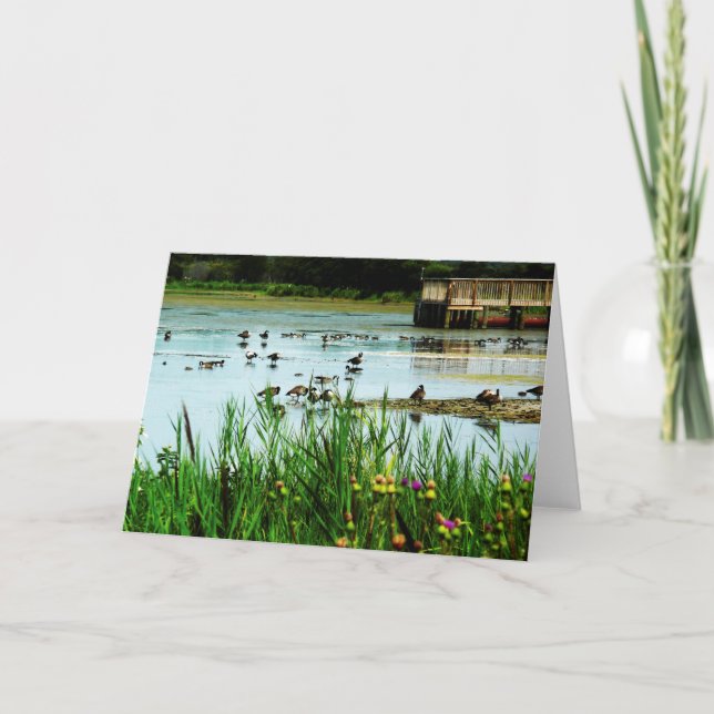 "Privilege" Lake Scene with Cattails Ducks Dock Card (Front)