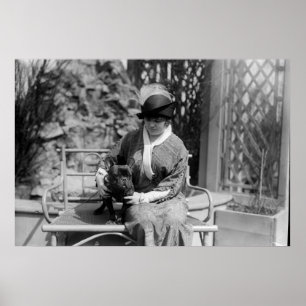 Prize Bulldog: 1914 Poster