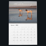 PRO 2025 25th Anniversary Calendar<br><div class="desc">PRO 2025 25th Anniversary Calendar</div>
