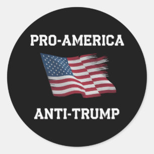 Pro America Anti Trump Vintage USA Flag Classic Round Sticker