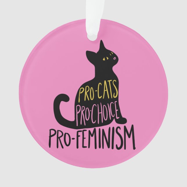 Pro-chats Pro-choix pro-féminisme (devant)