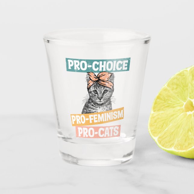 Pro-Choice, Pro-Feminism, Pro-Cat | Cat Lover Shot Glass (Front)