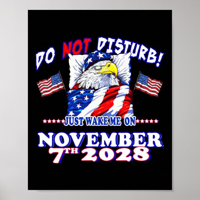 Pro Democracy Fourth July 4th Sarcastic Election E Poster (Front)