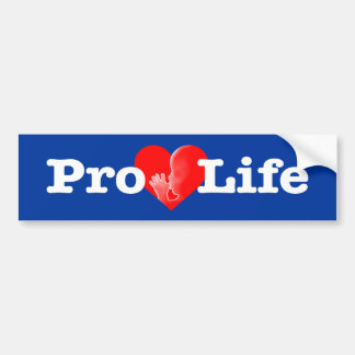“PRO-LIFE” BUMPER STICKER