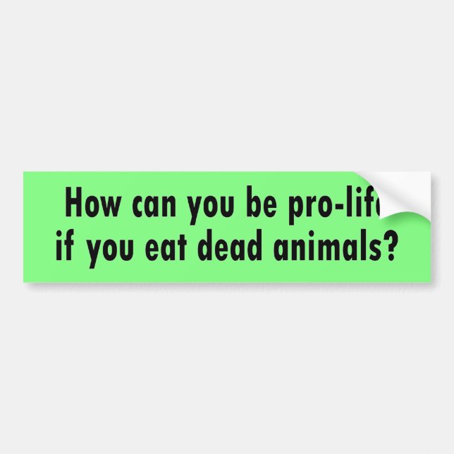 pro-life bumper sticker (Front)