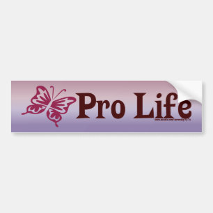 Pro Life Bumper Sticker