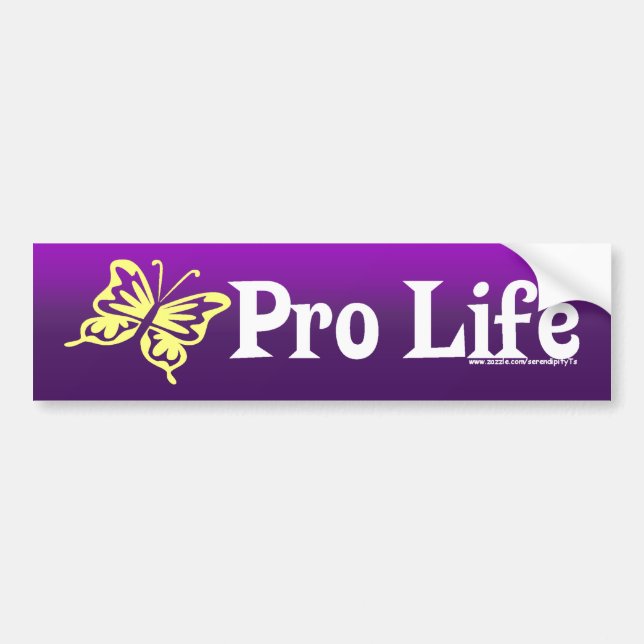 Pro Life Bumper Sticker (Front)