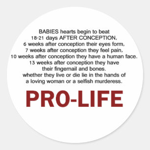 Pro-Life Classic Round Sticker