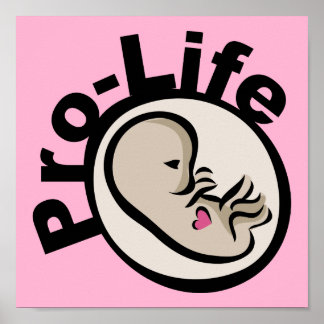Pro-Life Fetus Design Poster