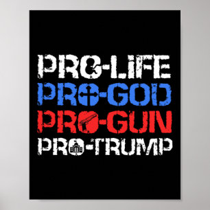 Pro-life Pro-god Pro-gun Pro-trump  Poster
