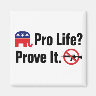 Pro Life? Prove It - Ban Assault Weapons Car Magnet