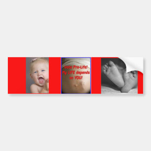 Pro life sticker