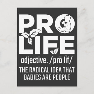 Pro Life Support Baby Anti Abortion Human Rights Postcard