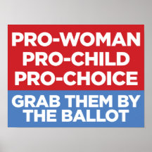 Pro-Woman Pro-Child Pro-Choice 16x12 Window Poster