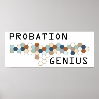 Probation Genius Poster