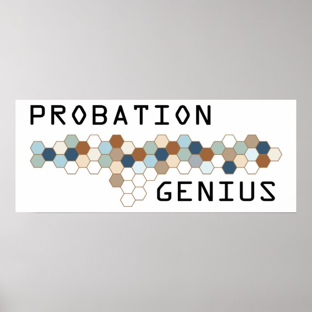 Probation Genius Poster (Front)