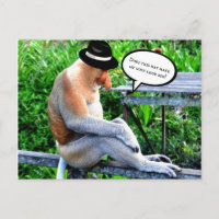 Proboscis Monkey-Does hat make my nose look big?