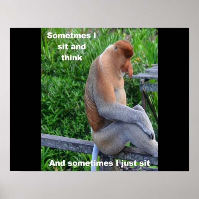 Proboscis Monkey - Sometimes I Sit and Think Poster (Front)