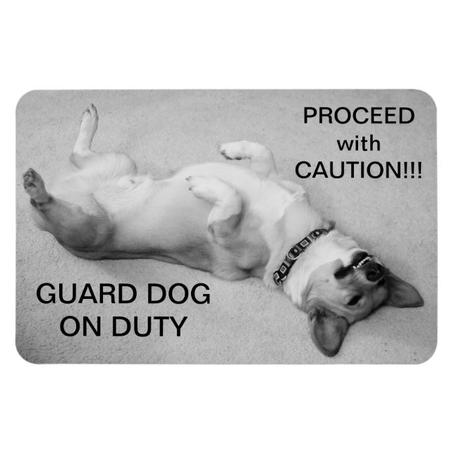 Proceed with Caution Magnet (Horizontal)