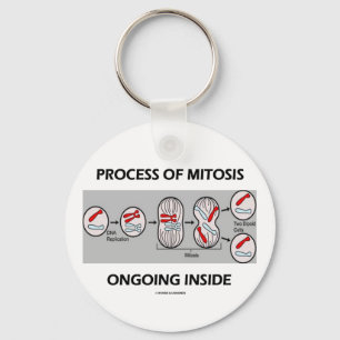Process Of Mitosis Ongoing Inside Keychain
