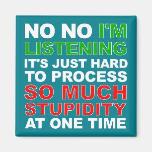Process Your Stupidity Funny Fridge Magnet