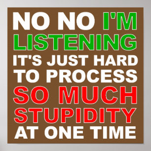 Process Your Stupidity Funny Poster Sign