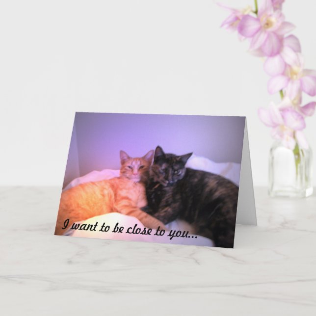 Proche de votre carte de voeux (Orchidée)