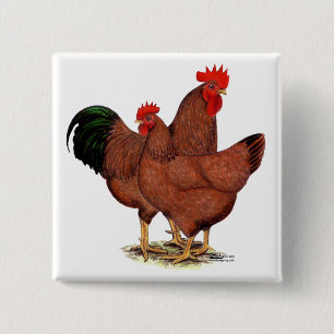 Production Red Chickens 2 Inch Square Button