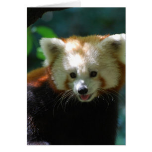 Produit de personnaliser