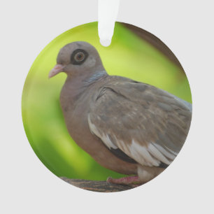 Produit de personnaliser