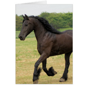 Produit de personnaliser