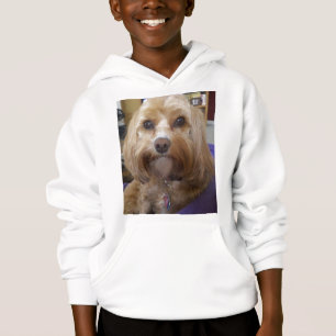 Produits de Cavapoo ou de Cavadoodle