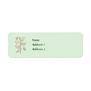 Produits Mariages Dainty White Orchids