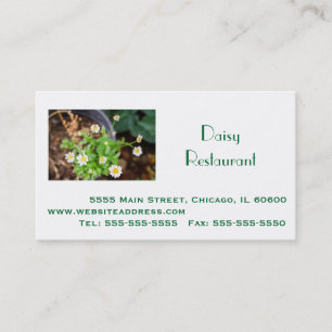 Professional Business, Address, Telephone, Website Business Card