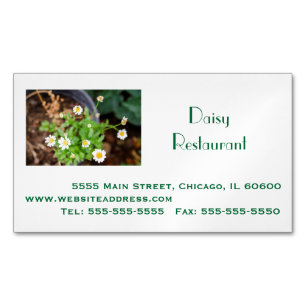 Professional Business, Address, Telephone, Website Magnetic Business Card