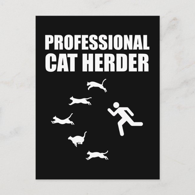 Professional Cat Herder Funny Herding Cats Postcard (Front)
