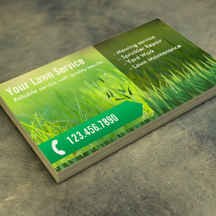 Professional Lawn Care & Landscaping Business Card