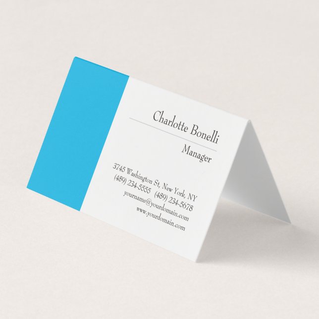 Professional Modern Minimalist Plain Business Card (Front)