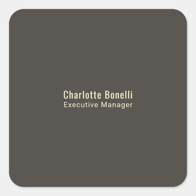 Professional Modern Minimalist Plain  Square Sticker (Front)