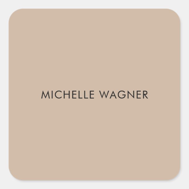 Professional Modern Plain Elegant Minimalist Square Sticker (Front)