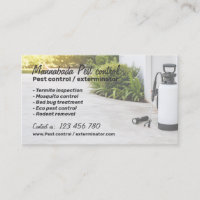 Professional Pest Control Exterminator Service