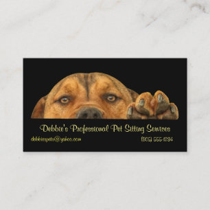 Professional Pet Sitting Services Business Card