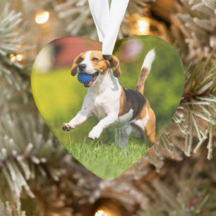 Professional Photo Acrylic Heart Ornament