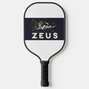 professional pickleball paddle