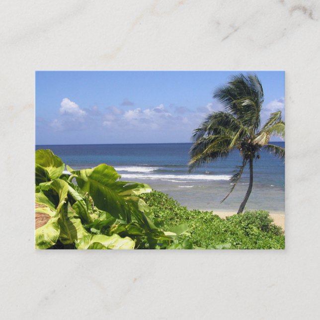 Professional Travel Business Card (Front)