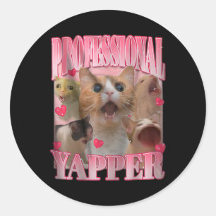 Professional Yapper Cat Funny Oddly Specific Dank  Classic Round Sticker