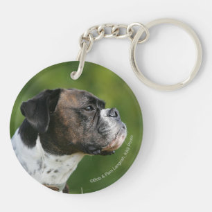 Profil de chien de boxeur