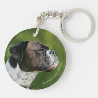 Profil de chien de boxeur