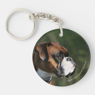 Profil de côté de chien de boxeur
